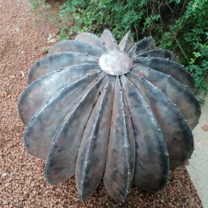 Cactus modèle NAMIB