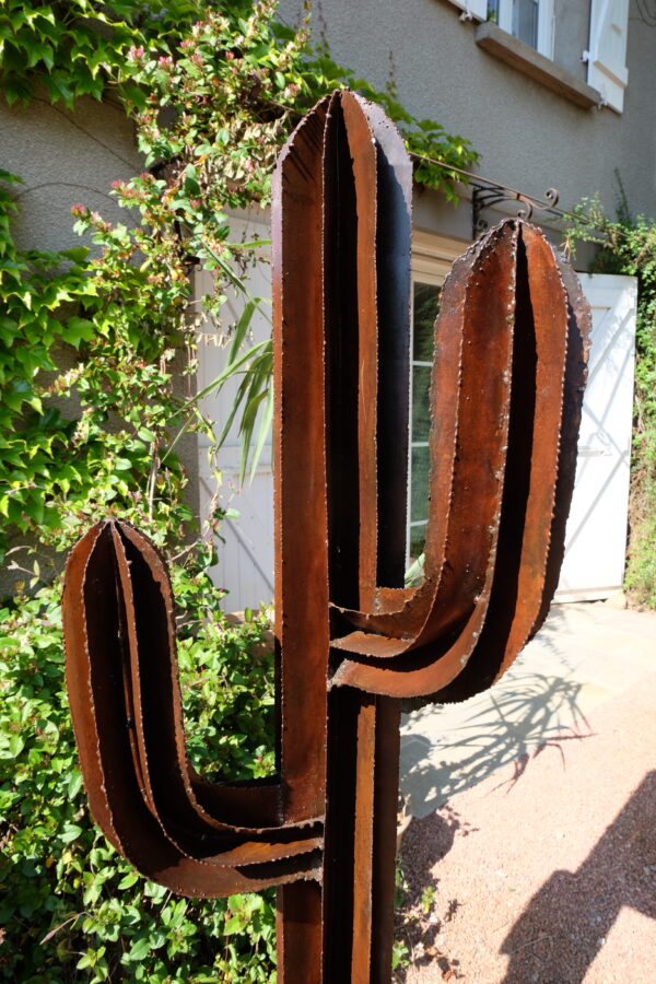 Cactus modèle SAND – Image 11