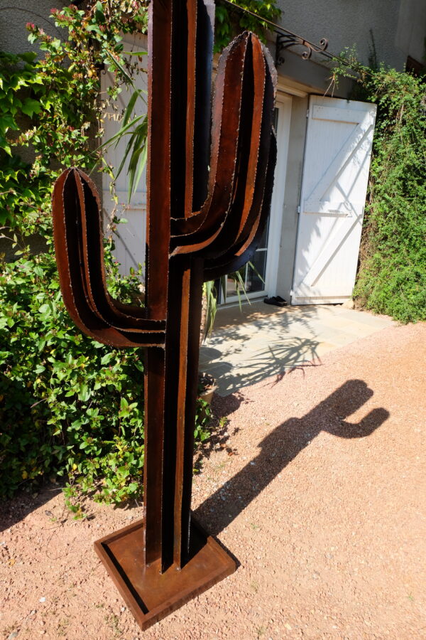 Cactus modèle SAND – Image 15