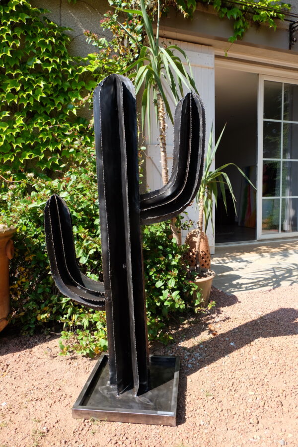 Cactus modèle SAND – Image 16