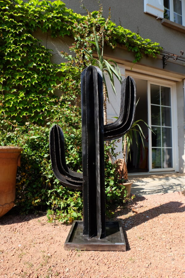 Cactus modèle SAND – Image 14