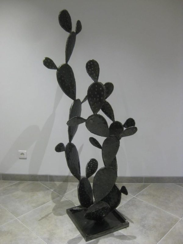 Cactus modèle ATACAMA – Image 4
