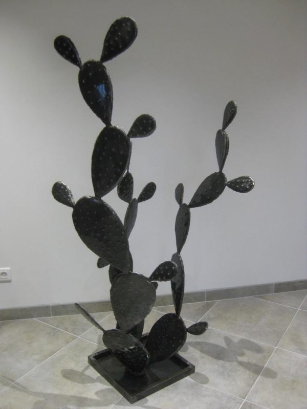 Cactus modèle ATACAMA – Image 5