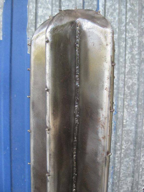 Cactus modèle DUST – Image 2
