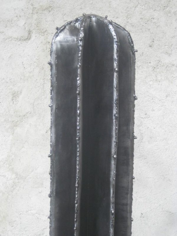Cactus modèle DUST – Image 3