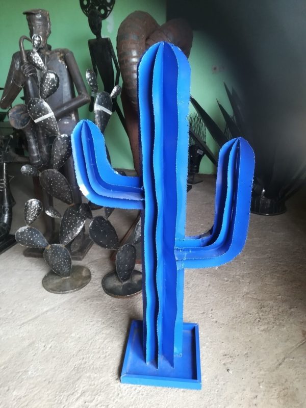 Cactus modèle SAND – Image 5