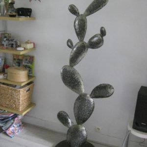 Cactus modèle UYUNI