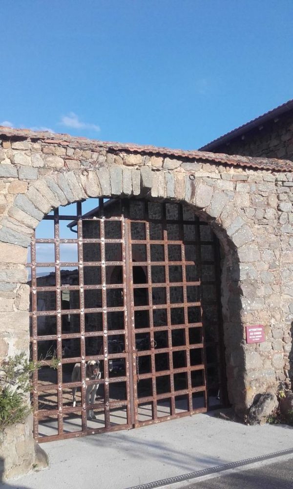 Portail en fer forgé modèle 11 – Image 2