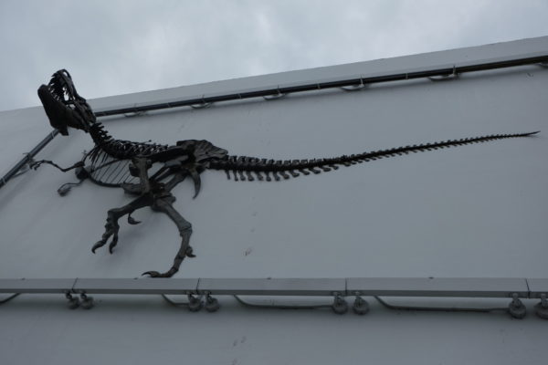 Sculpture T REX – Image 2