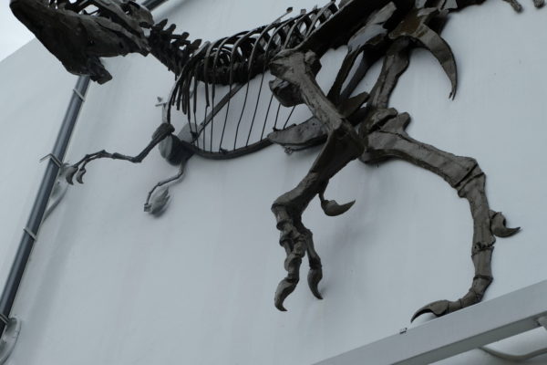 Sculpture T REX – Image 3