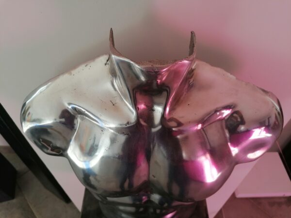 BUSTE HOMME – Image 3