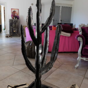 Cactus modèle GOBI