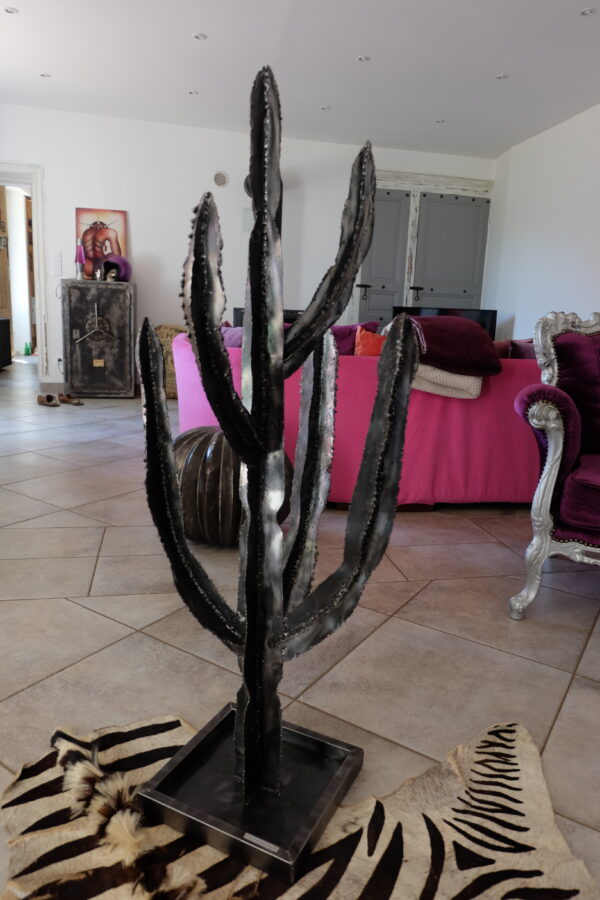 Cactus modèle GOBI