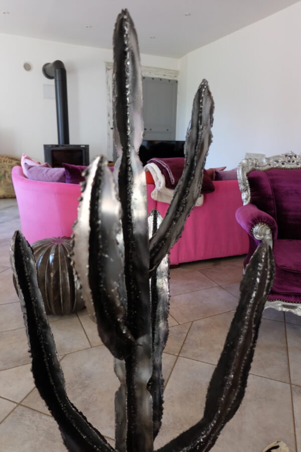 Cactus modèle GOBI – Image 2