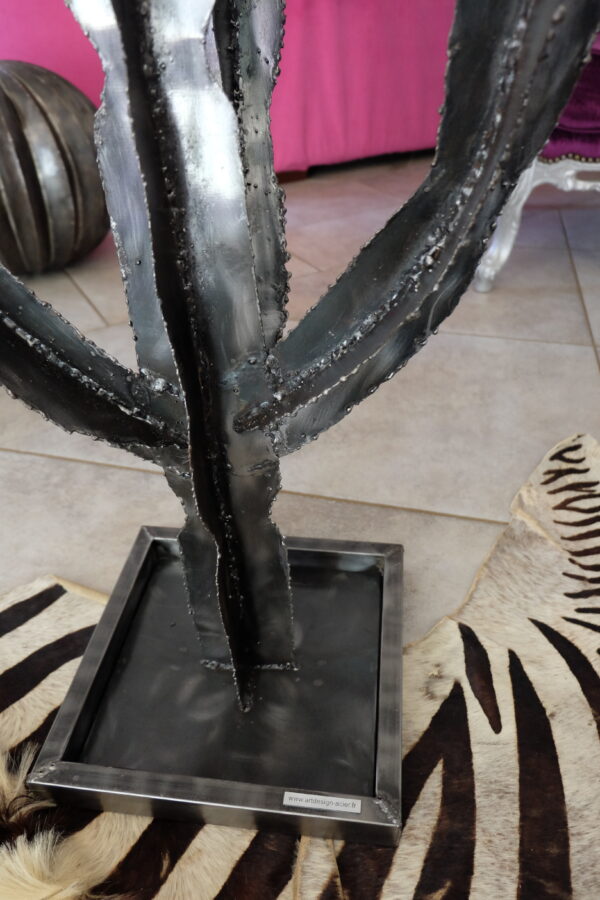 Cactus modèle GOBI – Image 3
